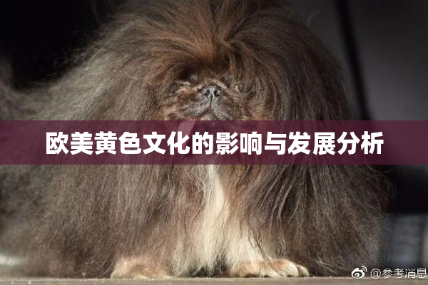 欧美黄色文化的影响与发展分析