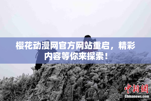 樱花动漫网官方网站重启，精彩内容等你来探索！