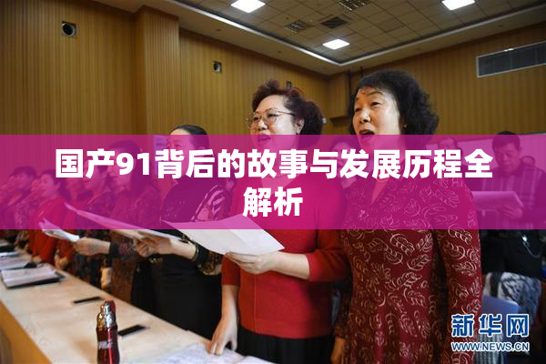国产91背后的故事与发展历程全解析