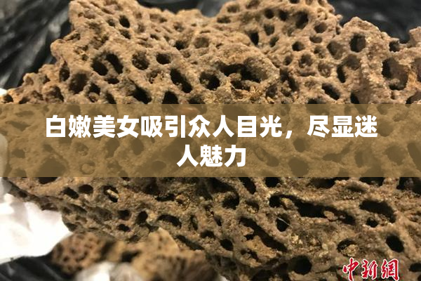 白嫩美女吸引众人目光，尽显迷人魅力