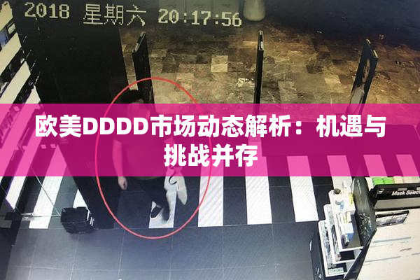 欧美DDDD市场动态解析：机遇与挑战并存