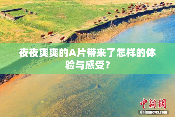 夜夜爽爽的A片带来了怎样的体验与感受？