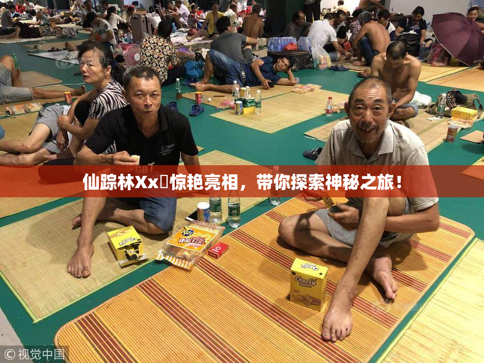 仙踪林Xx乂惊艳亮相，带你探索神秘之旅！
