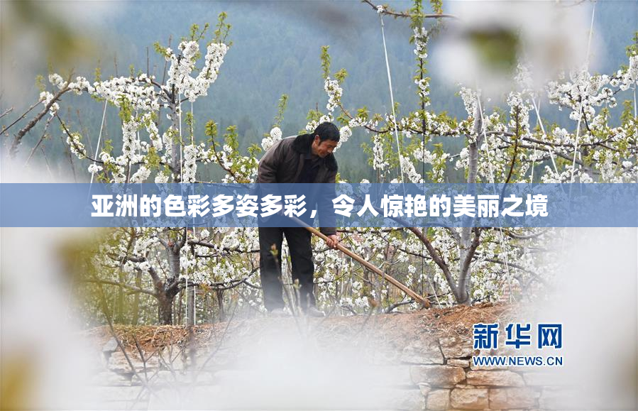 亚洲的色彩多姿多彩，令人惊艳的美丽之境