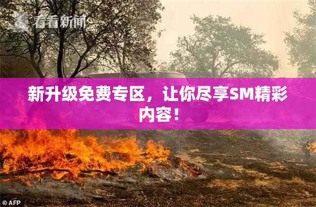 新升级免费专区，让你尽享SM精彩内容！