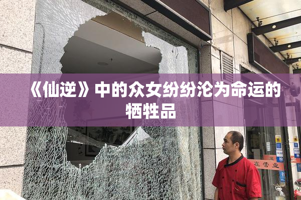 《仙逆》中的众女纷纷沦为命运的牺牲品