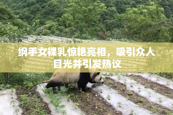 纲手女裸乳惊艳亮相，吸引众人目光并引发热议