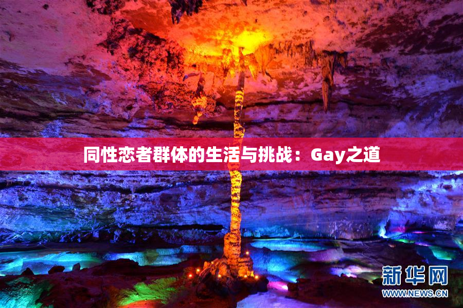 同性恋者群体的生活与挑战：Gay之道