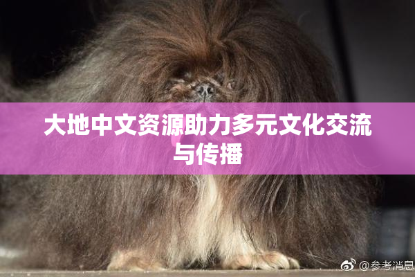 大地中文资源助力多元文化交流与传播