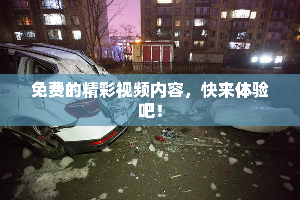 免费的精彩视频内容，快来体验吧！