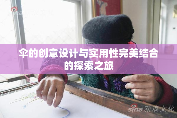 伞的创意设计与实用性完美结合的探索之旅
