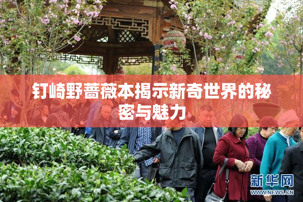 钉崎野蔷薇本揭示新奇世界的秘密与魅力