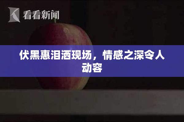 伏黑惠泪洒现场，情感之深令人动容