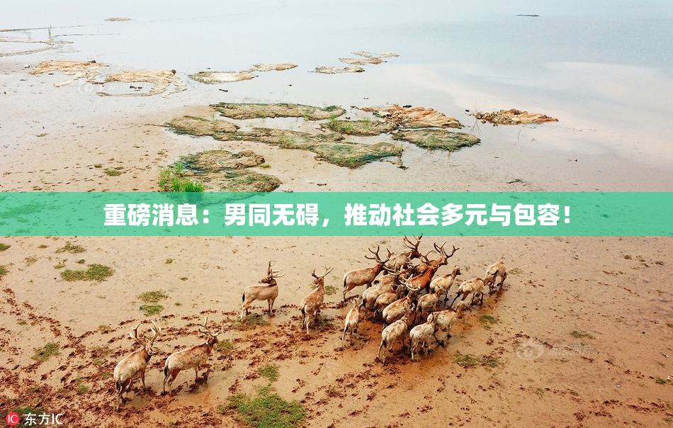 重磅消息：男同无碍，推动社会多元与包容！