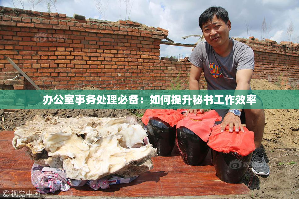 办公室事务处理必备：如何提升秘书工作效率