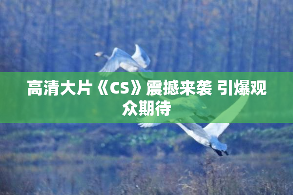 高清大片《CS》震撼来袭 引爆观众期待