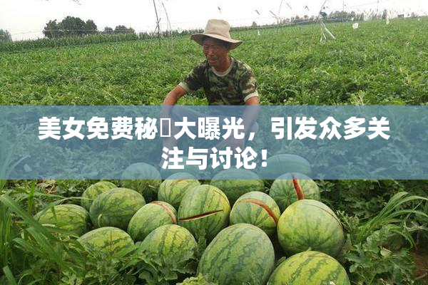 美女免费秘訣大曝光，引发众多关注与讨论！