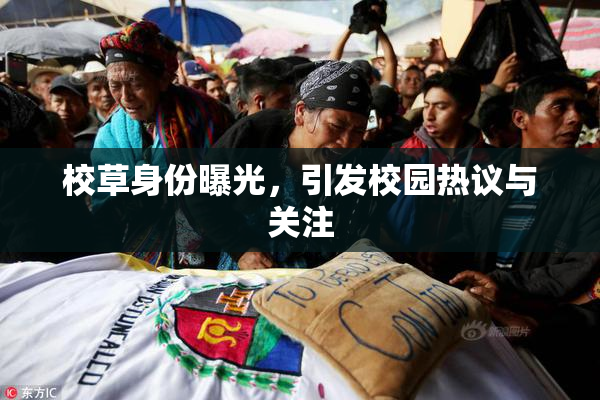 校草身份曝光，引发校园热议与关注