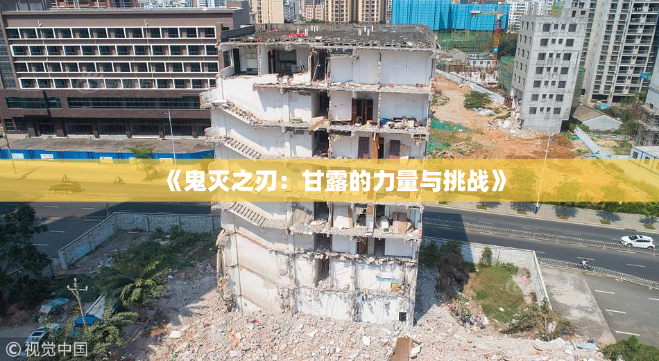 《鬼灭之刃：甘露的力量与挑战》