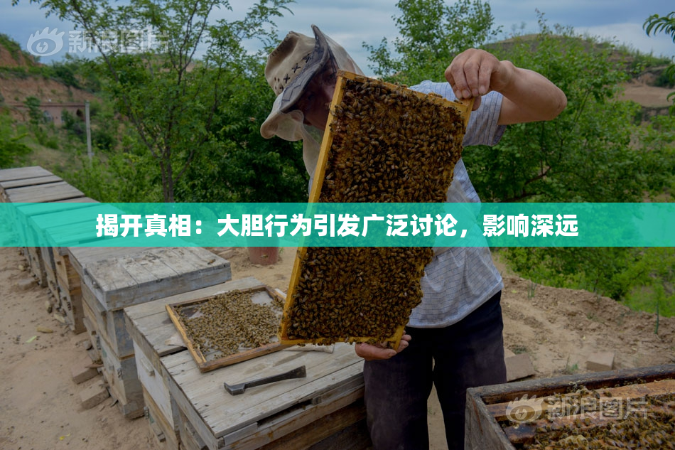 揭开真相：大胆行为引发广泛讨论，影响深远