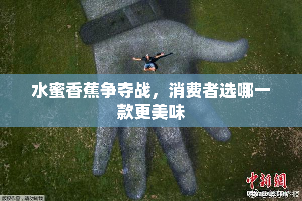 水蜜香蕉争夺战，消费者选哪一款更美味