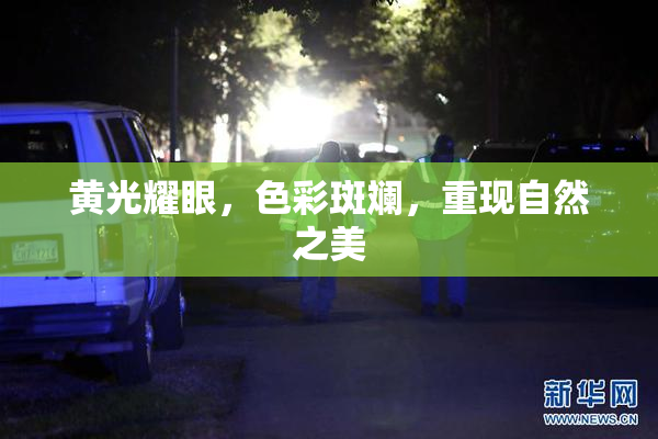 黄光耀眼，色彩斑斓，重现自然之美