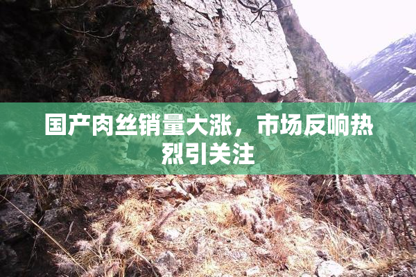 国产肉丝销量大涨，市场反响热烈引关注