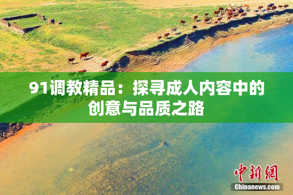 91调教精品：探寻成人内容中的创意与品质之路