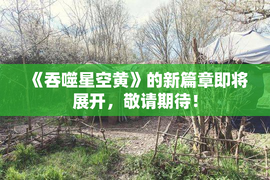 《吞噬星空黄》的新篇章即将展开，敬请期待！