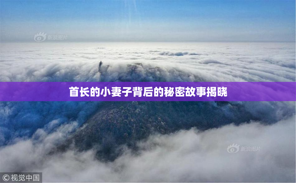 首长的小妻子背后的秘密故事揭晓