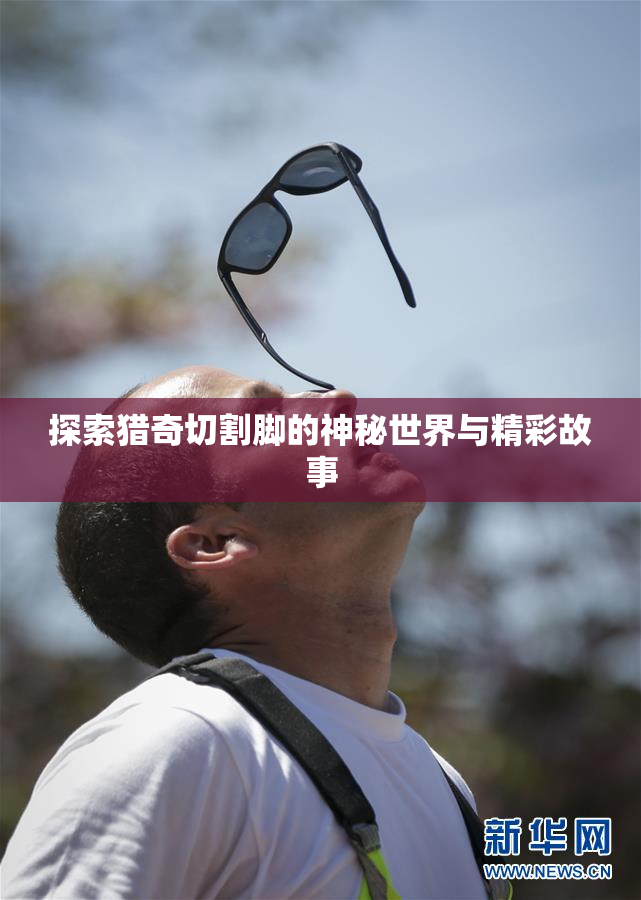 探索猎奇切割脚的神秘世界与精彩故事
