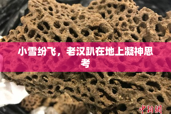 小雪纷飞，老汉趴在地上凝神思考