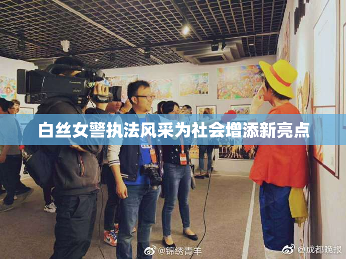 白丝女警执法风采为社会增添新亮点