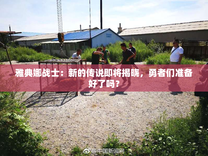 雅典娜战士：新的传说即将揭晓，勇者们准备好了吗？