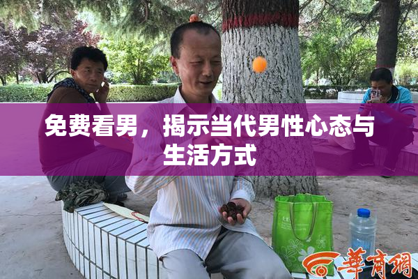 免费看男，揭示当代男性心态与生活方式
