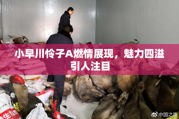 小早川怜子A燃情展现，魅力四溢引人注目