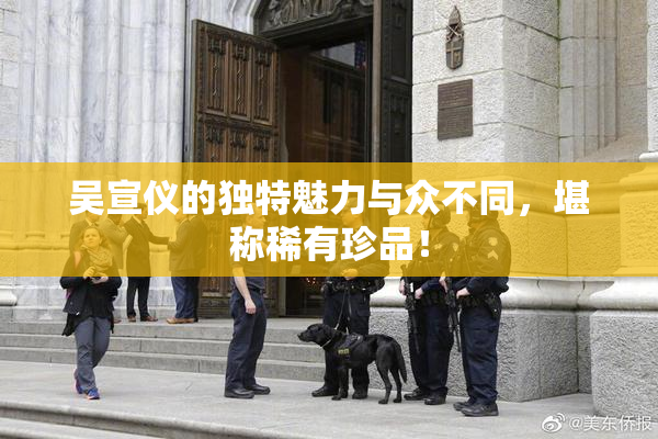 吴宣仪的独特魅力与众不同，堪称稀有珍品！