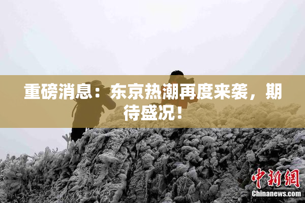 重磅消息：东京热潮再度来袭，期待盛况！