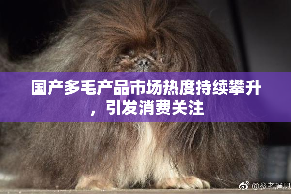 国产多毛产品市场热度持续攀升，引发消费关注
