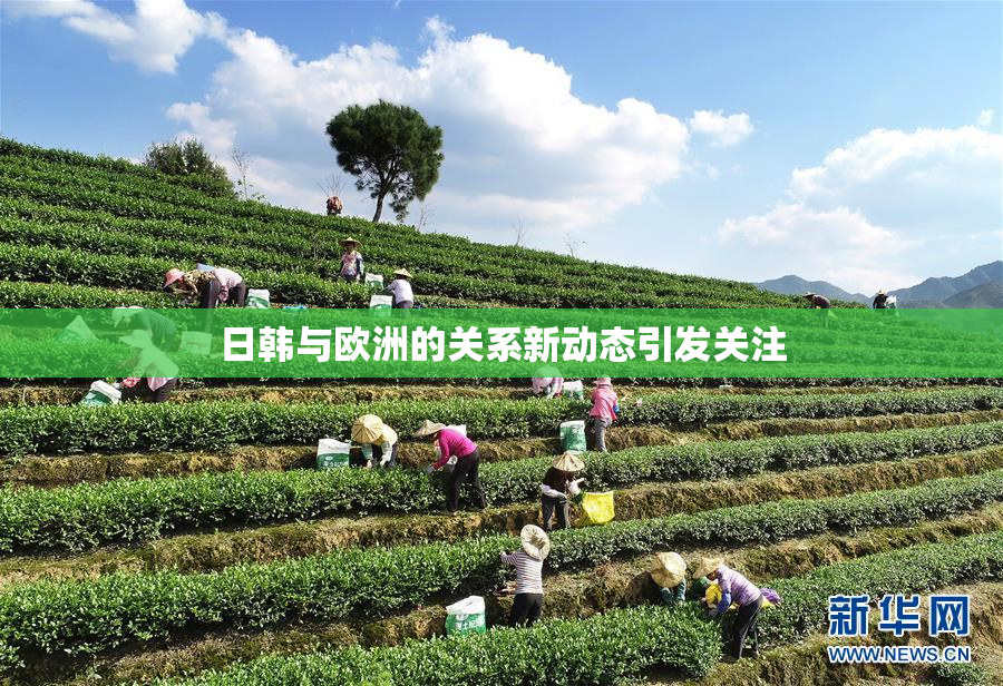 日韩与欧洲的关系新动态引发关注