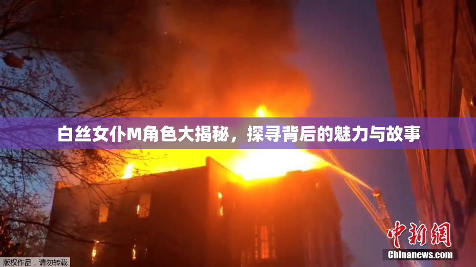 白丝女仆M角色大揭秘，探寻背后的魅力与故事