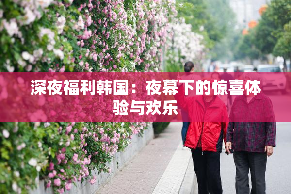 深夜福利韩国：夜幕下的惊喜体验与欢乐