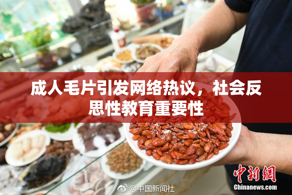 成人毛片引发网络热议，社会反思性教育重要性
