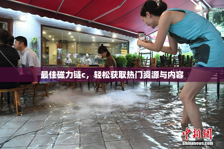 最佳磁力链c，轻松获取热门资源与内容