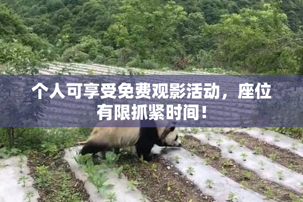 个人可享受免费观影活动，座位有限抓紧时间！