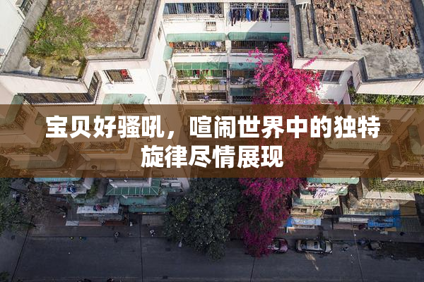 宝贝好骚吼，喧闹世界中的独特旋律尽情展现
