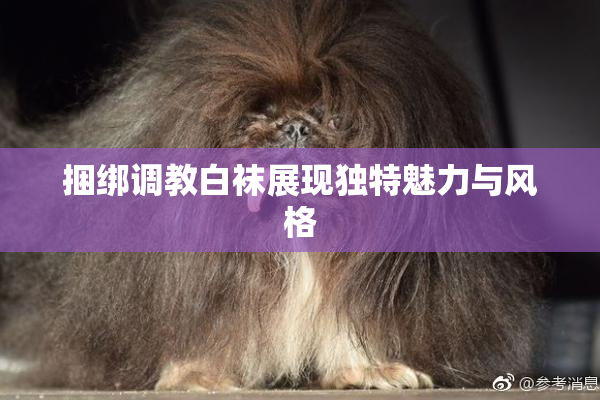 捆绑调教白袜展现独特魅力与风格