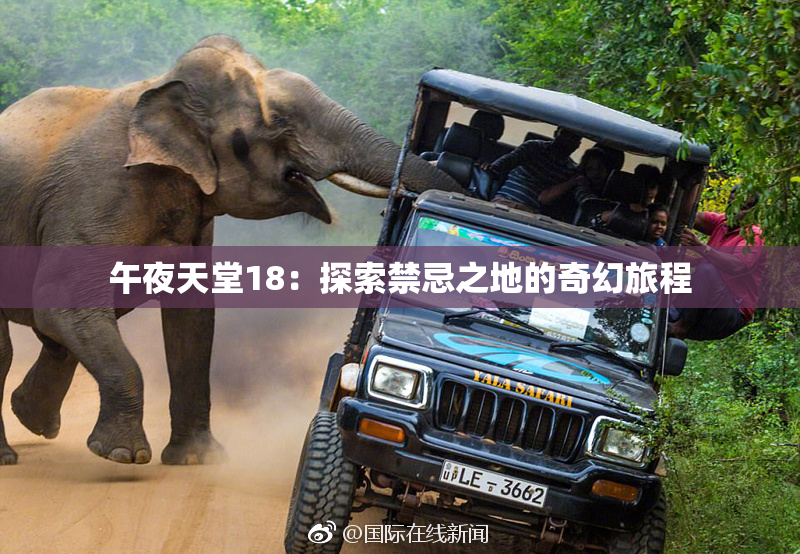 午夜天堂18：探索禁忌之地的奇幻旅程