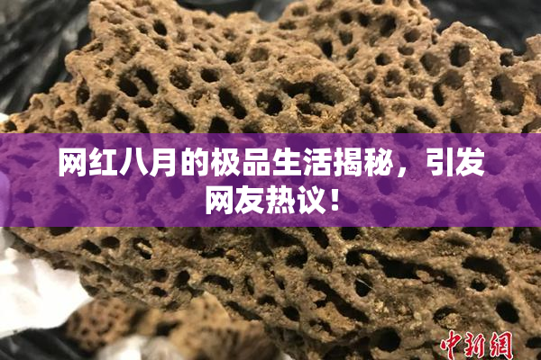 网红八月的极品生活揭秘，引发网友热议！