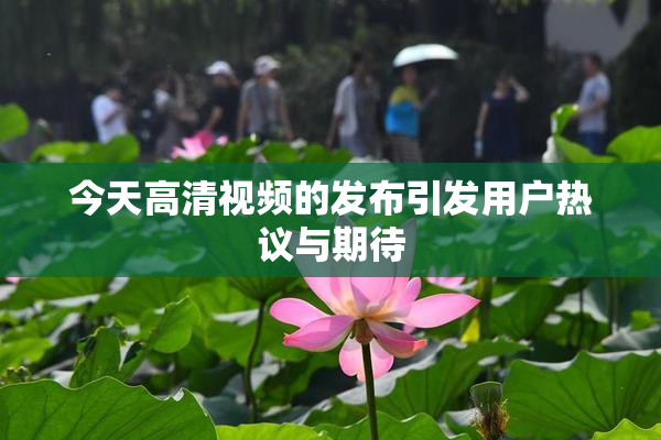 今天高清视频的发布引发用户热议与期待